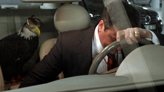 What's Your Driving Pet Peeve?